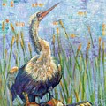 Anhinga