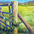 Fence Post