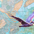 Flight Over Tybee Island